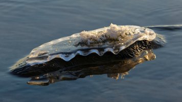 2016-01-15-22.14.05 ZS retouched_DxO_r2880.jpg