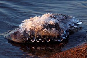 2016-01-08-23.57.35 ZS retouched_DxO_r2880.jpg