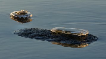 2016-01-14-22.38.55 ZS retouched_DxO_r2880.jpg