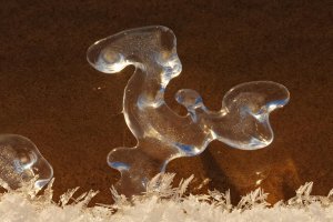 2016-01-08-21.18.41 ZS _DxO_1920.jpg