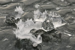 F36A6641 ZS retouched_DxO_r2880.jpg