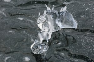 F36A6492 ZS retouched_DxO_1920.jpg