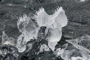 F36A6530 ZS retouched_DxO_1920.jpg