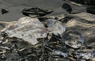 F36A4051 ZS retouched_2_DxO_1920.jpg