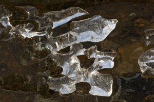 F36A3691 ZS retouched_DxO_1920.jpg