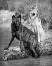 24245908321_ca912276af_h copy.jpg