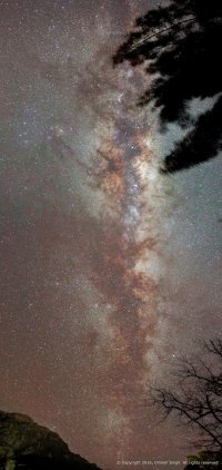 Overarching (web).jpg