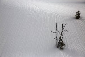Mt Hood March 2016-2324b.jpg
