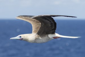 289A7795 cropcopy.jpg