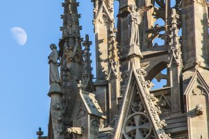 IMG_1537.jpg