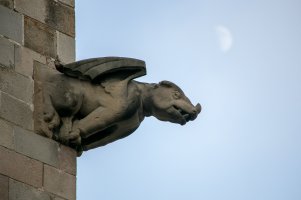 IMG_0870.jpg