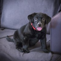 _Y8A1588Rc small.jpg