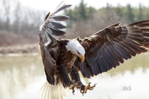 r1080 Mar 26 2016 dated signed_MGL0263.jpg