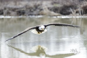 r1080 Mar 26 2016 dated signed_MGL0320.jpg