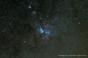 Carina 491x 3.2s.jpg