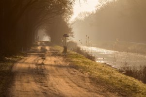 vogel foto pook2 2048.jpg