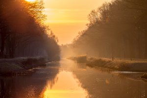 golden pook 1080.jpg