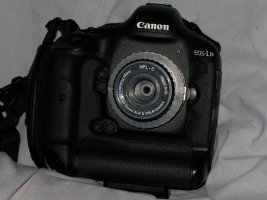 Holga00000003.JPG