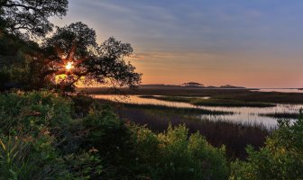 Myrtle Beach - Tidewater Golf Club Sunrise on May 26, 2014-126.jpg