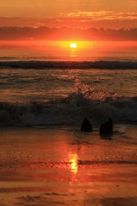 Sunrise at Kure Beach .jpg