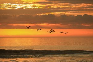 Sunrise at Kure Beach 3.jpg
