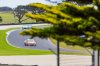 V8s at the Island (107 of 142).jpg