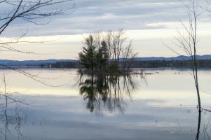 Island Samples-3.jpg
