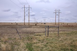 2016-04-26 15-03-50 (A,Radius8,Smoothing4)_DxO-Edit.jpg