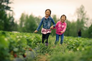 20160430_151156 copy2-SB2.jpg