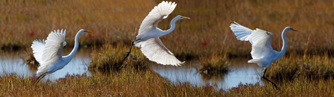 Takeoff to Landing.jpg