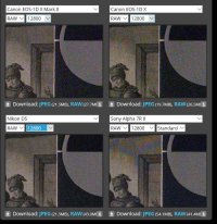 ISO12800  low light 1dxm2 vs 1dx.JPG