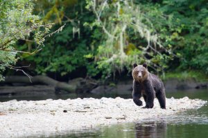 Checking each other out_.jpg