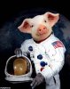 Pig-Astronaut-75541.jpg