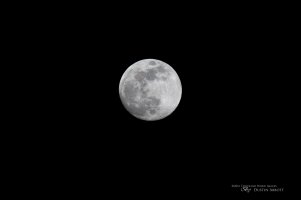 Moon Shot with Extender.jpg