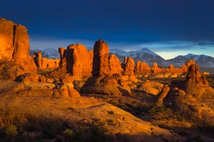 IMG_0498 South La Sal.jpg