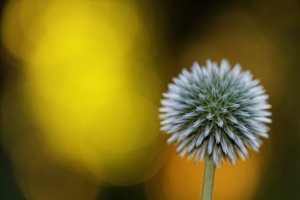 IMG_5144.jpg