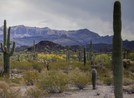 walk mountains rain.jpg