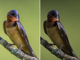 7dmkii take 2.jpg