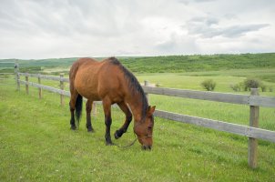 _DSF3276-Edit (1).jpg