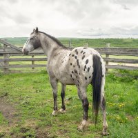 _DSF3269-Edit (1).jpg