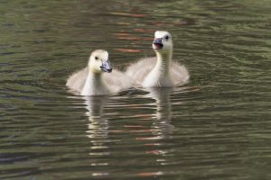 IMG_5580 raw.JPG