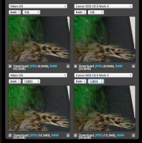 Screen Shot 2016-06-01 at 4.19.59 PM.png
