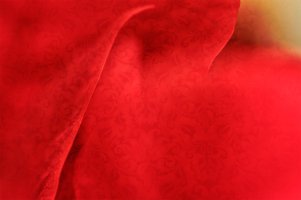 _MG_5992_DxO copy copy copy copy.jpg