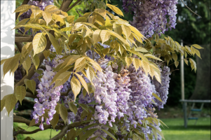 Screen Shot 2016-06-06 at 07.56.40.png