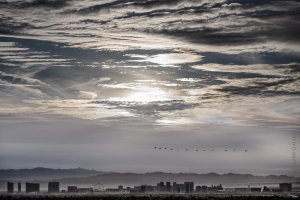 leaving las vegas.jpg