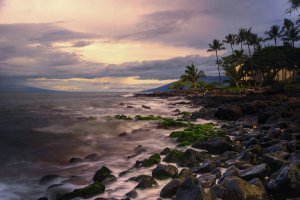 Morning Rain, Maui.jpg