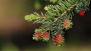 A Sign of Growth_32623.JPG