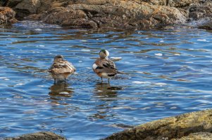 _MG_5478_DxO-Edit 3.20.48 PM.jpg