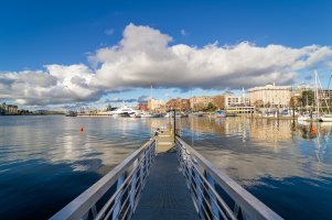 _MG_5544_DxO-Edit 3.20.48 PM.jpg