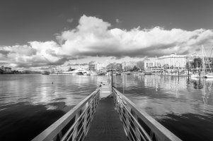 _MG_5544_DxOb&w-Edit 3.20.48 PM.jpg